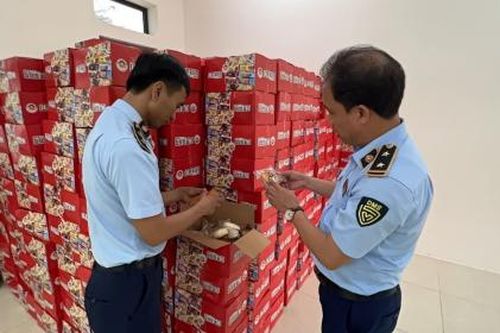 Hà Nội phát hiện nghìn thùng bánh bông lan, táo đỏ, hướng dương nghi nhập lậu