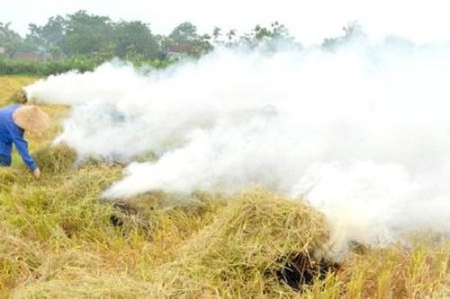 Kiểm soát ô nhiễm không khí từ sản xuất nông nghiệp ở Hà Nội
