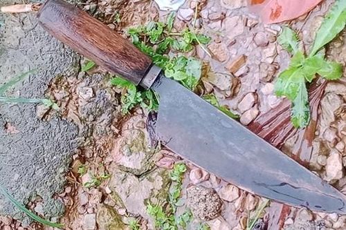Truy bắt đối tượng giết người trong đêm tại Vườn Quốc gia Vũ Quang