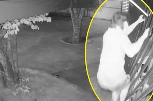 'Người nhện' chui qua khe cổng 30cm trộm nhiều tài sản