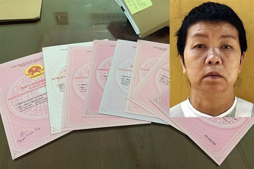 'Thầy bói' làm giả sổ đỏ để lừa đảo