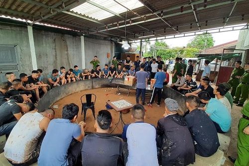 Đột kích trang trại, 41 đối tượng tụ tập đá gà ăn tiền bỏ chạy tán loạn