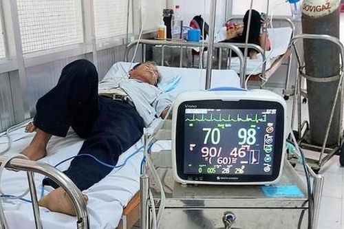 Suýt mất mạng vì bị ong mặt quỷ đốt