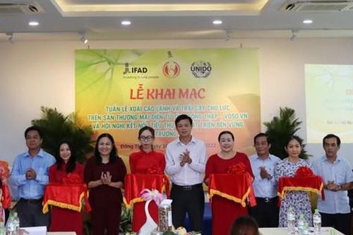 Đồng Tháp: Đưa ngành xoài và trái cây chủ lực lên sàn thương mại điện tử