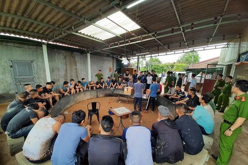 Đột kích trang trại, phát hiện 40 sư kê đang say sưa đá gà ăn tiền
