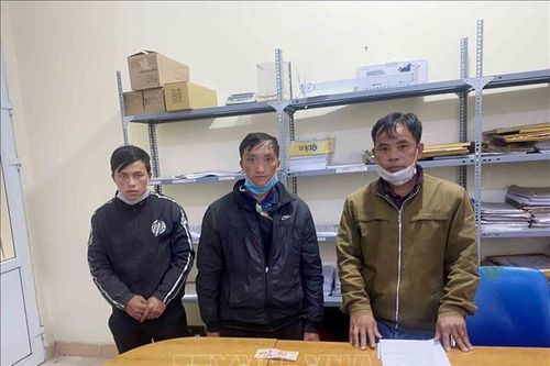 Lai Châu: Bắt giữ đối tượng lừa 'chạy án' chiếm đoạt tài sản