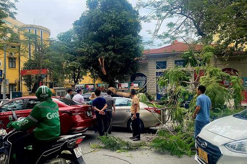 Hà Nội: Cây gãy đổ đè hai ô tô trên phố Lý Thường Kiệt