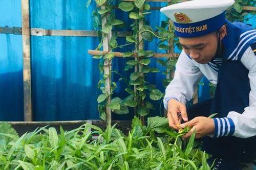 Niềm vui tươi xanh nơi đảo chìm ở Trường Sa