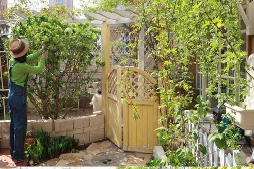 Ngẩn ngơ trước khu vườn nhà 60m² đẹp như tranh vẽ, thác hoa phủ vàng ruộm cả một góc sân