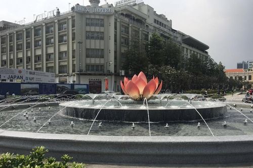 TP.HCM nghiên cứu tái lập bùng binh cây liễu lâu đời nhất ở Sài Gòn