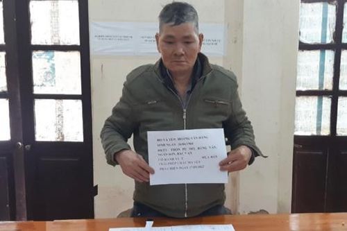 Xé lẻ ma túy 'ém' khắp nhà, vườn