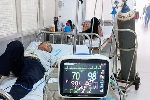 Người đàn ông nhập viện cấp cứu vì đụng phải tổ ong mặt quỷ