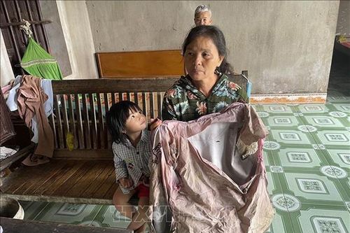 Hơn 70 người tìm kiếm 2 người phụ nữ đi bắt ốc lạc trong rừng sâu ở Ninh Bình