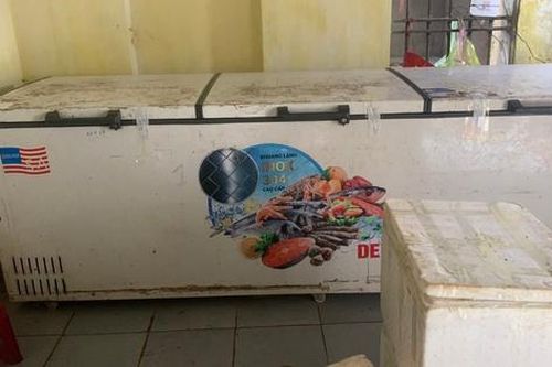Hải Phòng: Phát hiện khối lượng lớn thịt lợn nhiễm dịch tả lợn châu Phi ở cửa hàng bán bánh mỳ thịt nướng