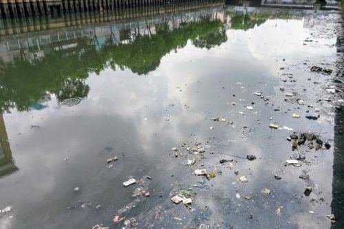 'Bẫy rác' bằng… rác