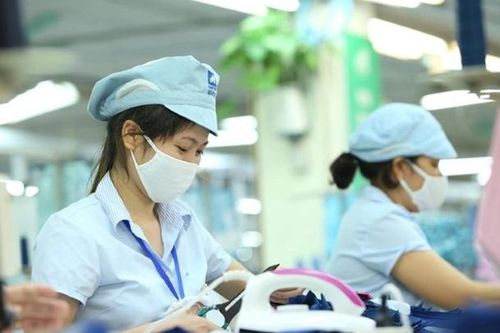 Tập hợp kiến nghị về việc làm, thu nhập để trình Thủ tướng