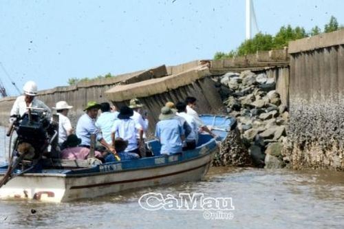 Cà Mau kiến nghị Trung ương tiếp tục đầu tư hệ thống kè, đê biển