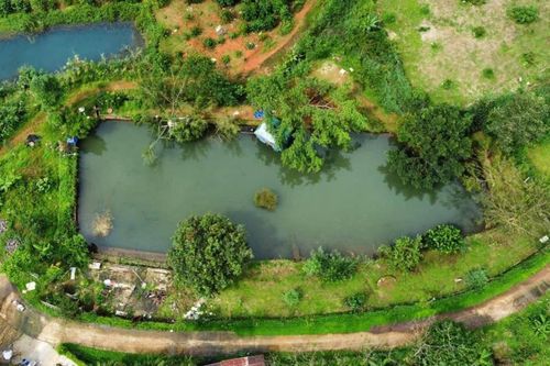 Rộ săn đất nghỉ dưỡng ven sông núi, view tiền tỷ