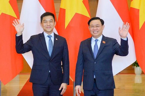 Chủ tịch Quốc hội Vương Đình Huệ đón, hội đàm với Chủ tịch Quốc hội Singapore