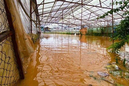Lâm Đồng: Hàng chục nhà dân ngập nặng sau cơn mưa chiều