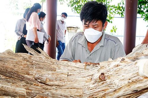 Phát triển ngành nghề nông thôn: Nâng cao chất lượng các nghề sẵn có