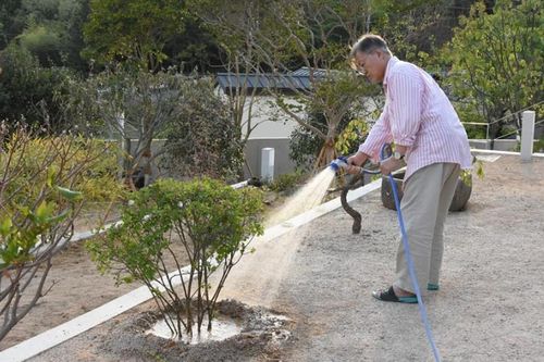 Cuộc sống giản dị tại quê nhà của cựu Tổng thống Hàn Quốc