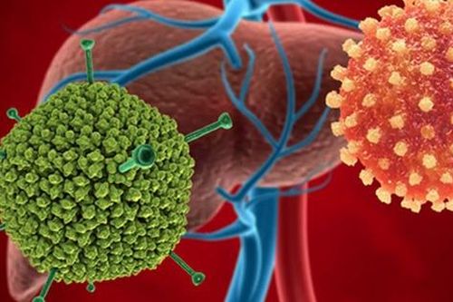Adenovirus- Nghi phạm gây bệnh viêm gan bí ẩn có khả năng gây bệnh gì?