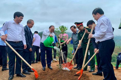 Phát triển cây công nghiệp chiến lược tại Điện Biên