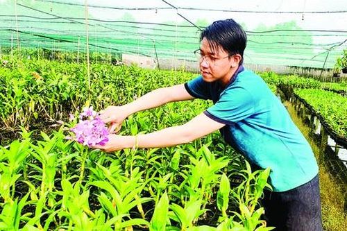 TPHCM: Mỗi hecta đất công nghiệp, thương mại, dịch vụ đô thị tạo ra giá trị trung bình 55 tỷ đồng/năm