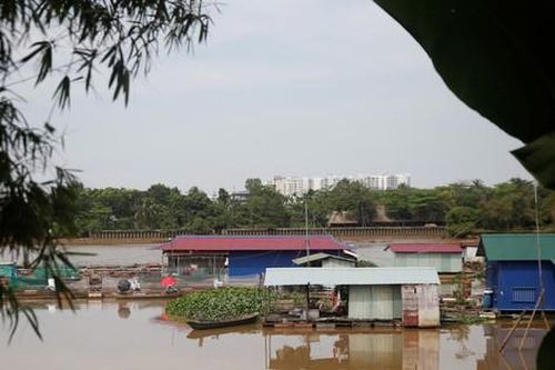 Bình yên làng cá Tân Mai
