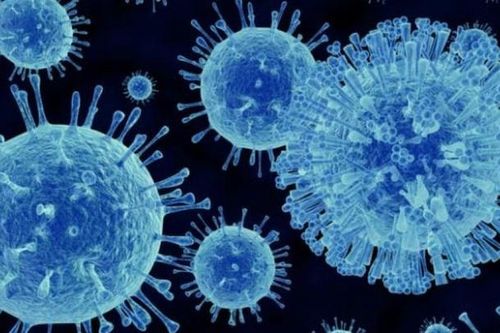 Loại virus gây viêm dạ dày ruột hàng đầu thế giới