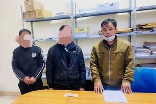 'Nổ' có khả năng 'chạy án' cho người bị tội trồng cây thuốc phiện để lừa đảo