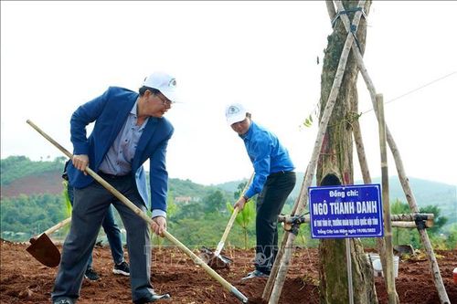 Trồng cây gây rừng, cùng góp sức phát triển kinh tế xanh