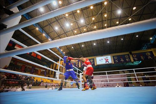 Boxing Việt Nam xác định được 3 võ sĩ vào chung kết