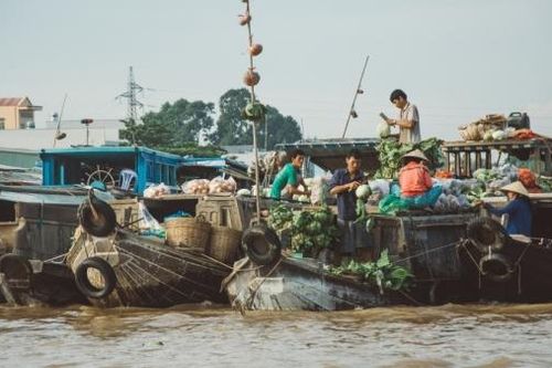 Cần Thơ thí điểm mô hình kinh tế tuần hoàn tại các chợ nổi