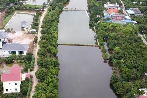Hải Phòng: Điều tra hàng loạt biệt thự xây trái phép trên đất nông trường