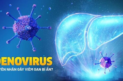 Adenovirus - tác nhân gây bệnh viêm gan 'bí ẩn' ở trẻ?