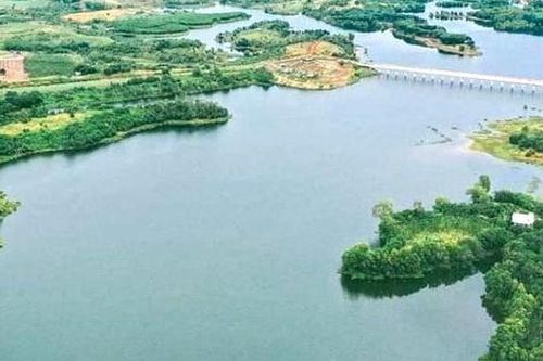 Anh bơi ra cứu em trai đuối nước, cả 2 tử vong