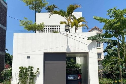Nhà ống tối giản công năng tiện nghi, đầy nắng và cây xanh