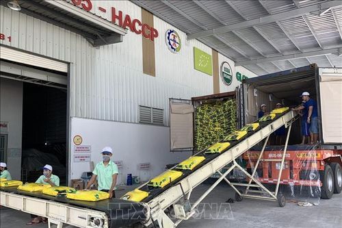 Kết nối từng mắt xích trong chuỗi giá trị