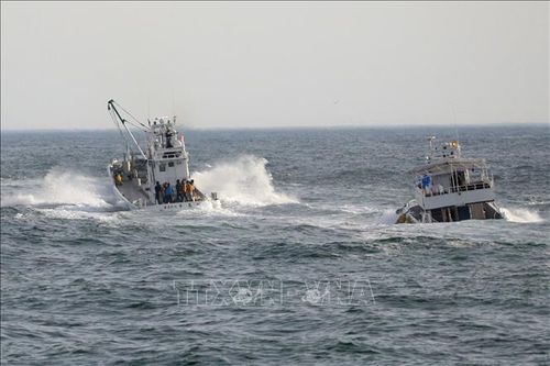 Vụ chìm tàu du lịch Nhật Bản: Ngừng chiến dịch tìm kiếm bên trong tàu du lịch Kazu I