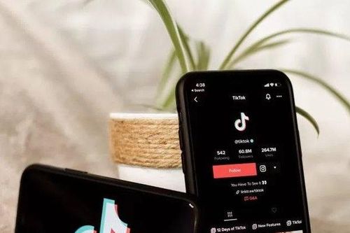 TikTok lấn sân vào mảng game, có thể đang thử nghiệm ở Việt Nam