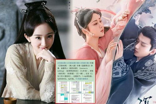 Trầm Vụn Hương Phai của Dương Tử - Thành Nghị bị tố đạo nhái 8 bộ truyện và cả 'đạo phẩm' của Dương Mịch