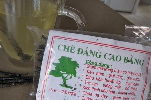 Chè đắng Cao Bằng có phải 'thần dược'?