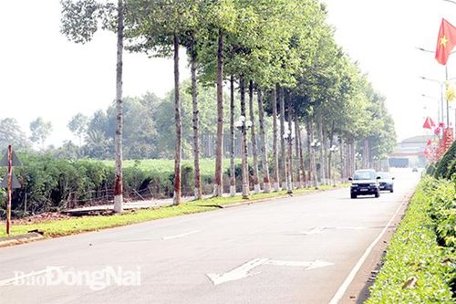 Trông đợi đấu giá nhiều khu đất 'vàng'