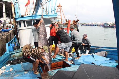 Thông báo tạm ngừng đánh bắt cá của Trung Quốc trên vùng biển Việt Nam không có giá trị