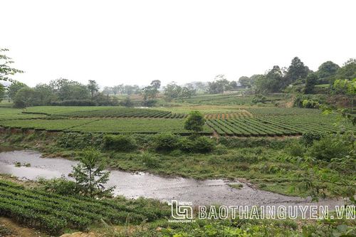 Đầm Mua in dấu chân Người
