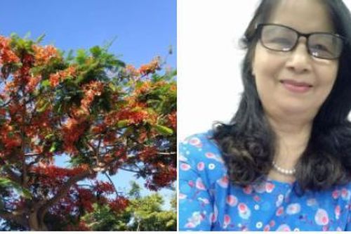 Không lấy là lấy