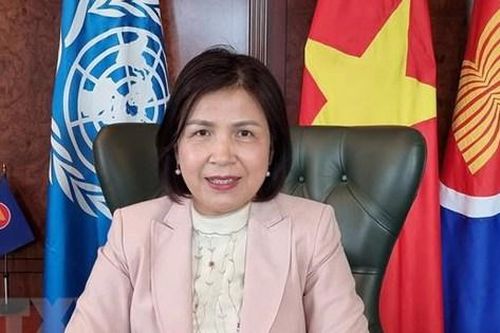 Việt Nam coi trọng và tiếp tục thúc đẩy hợp tác với WEF