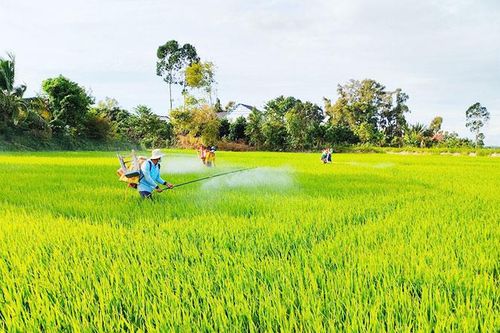 Nông nghiệp sinh thái, nông thôn hiện đại